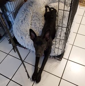 Meet your Posher, Becky